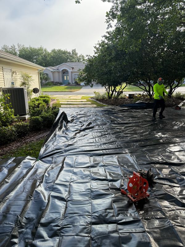 Fall Clean Up