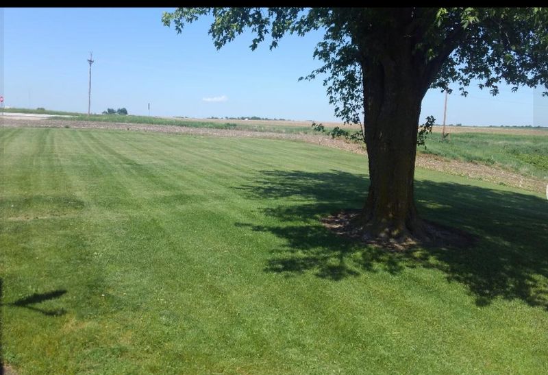 Lawn Care