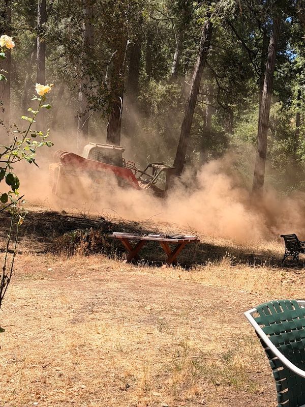 Brush Clearing