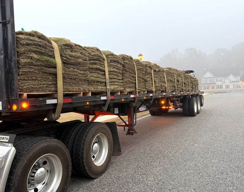 🌱 Sod Installation