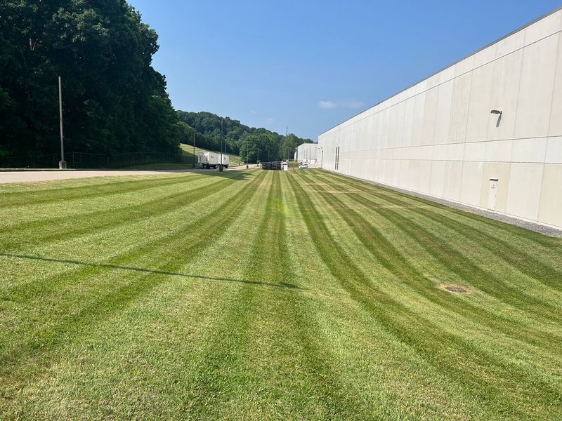 Office & Industrial Property Landscaping
