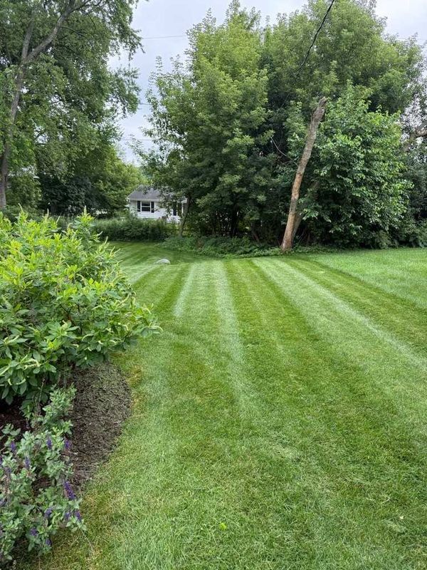 Lawn Maintenance