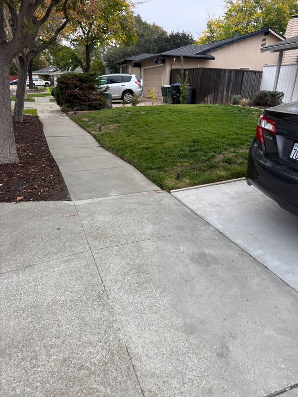 Landscaping