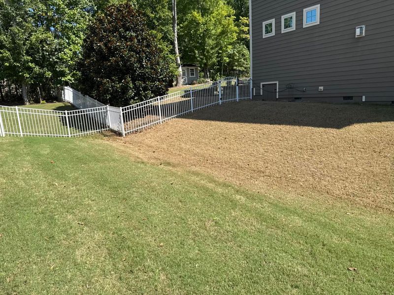 Lawn Maintenance