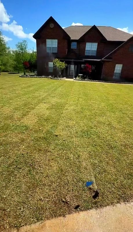 Sod installation!