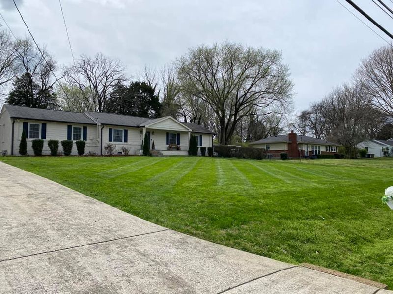 Landscaping