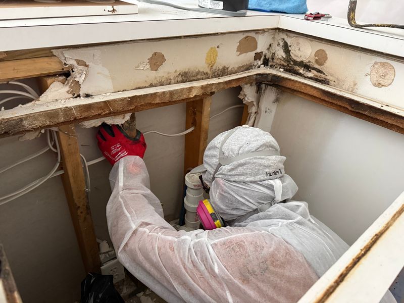 Mold Remediation