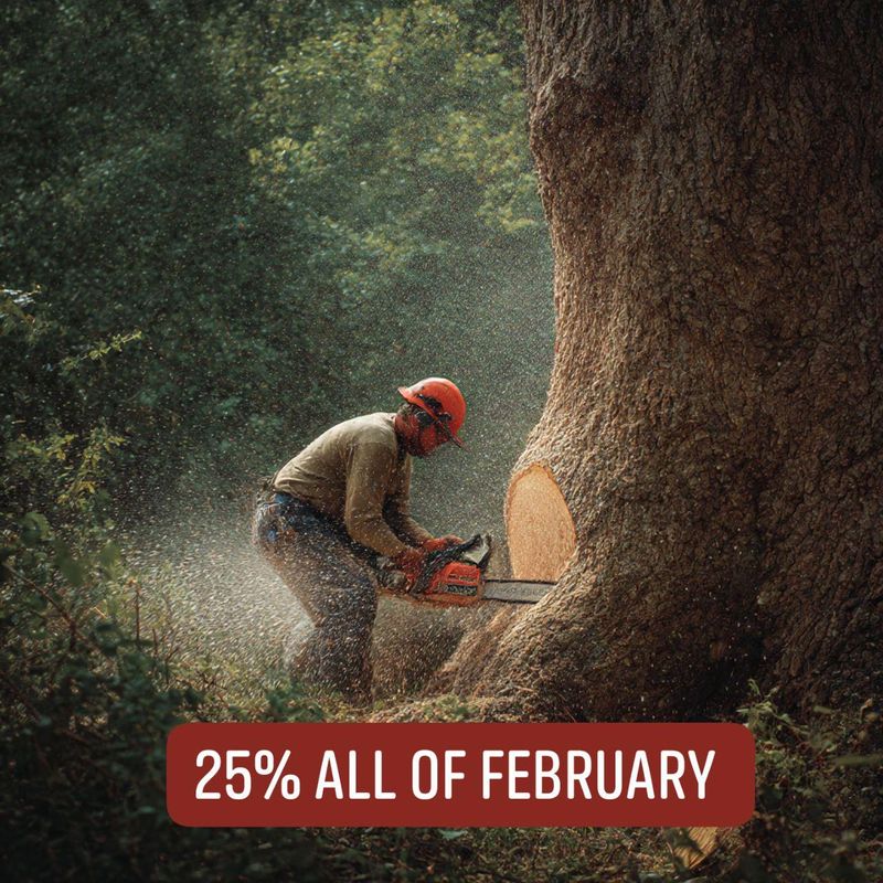 Tree Removal