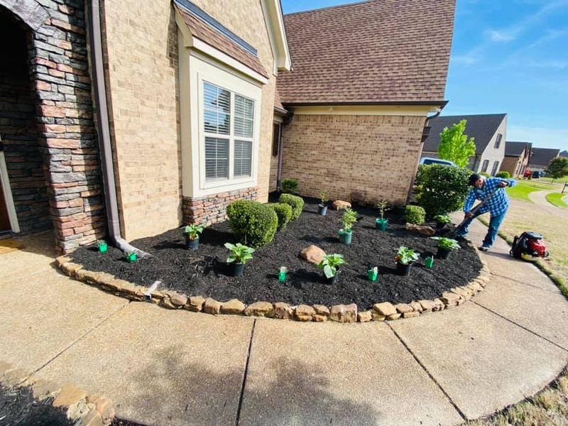 Landscaping gallery