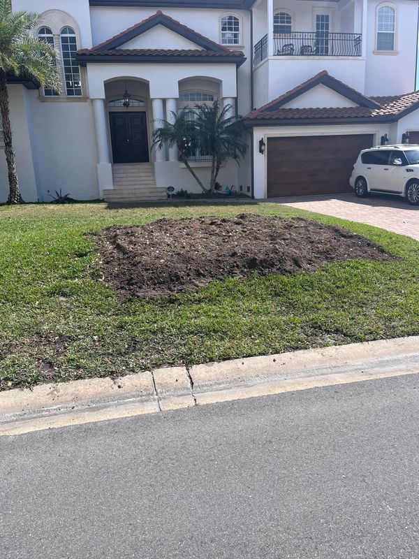 Land Clearing