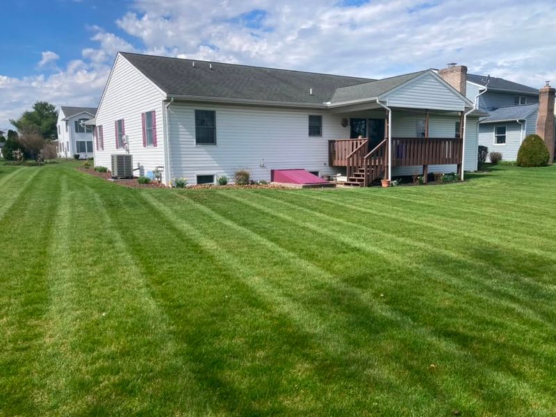 Lawn Maintenance