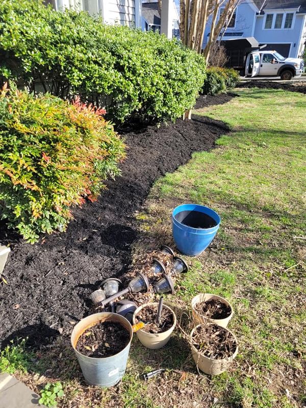 Tree Disease Management