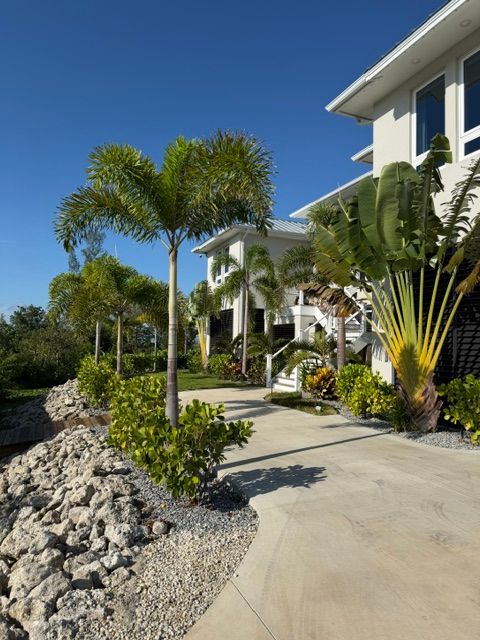 Mulching / Sod / Stones