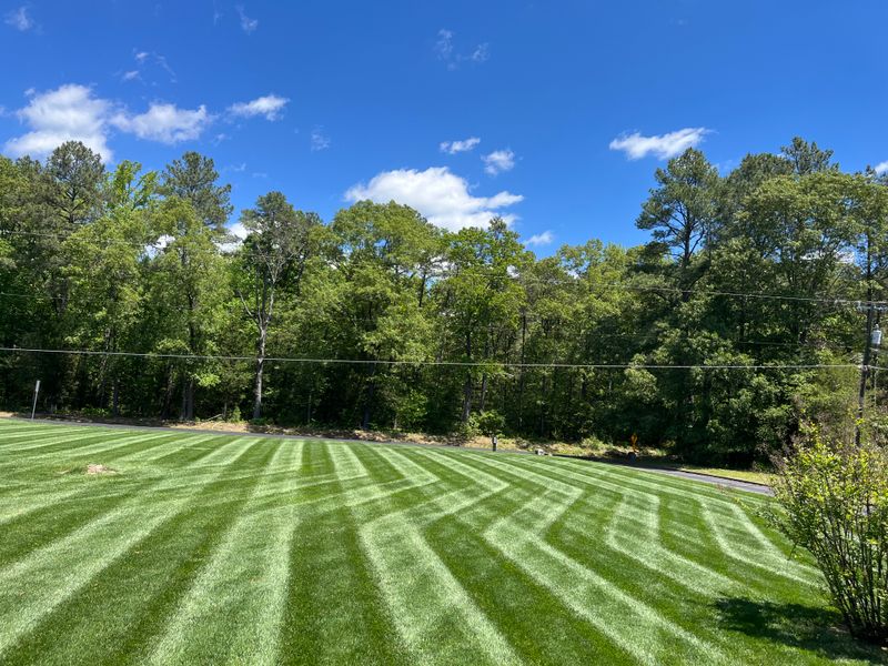 Lawn Care