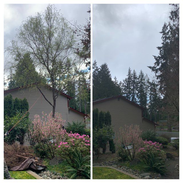 Landscaping