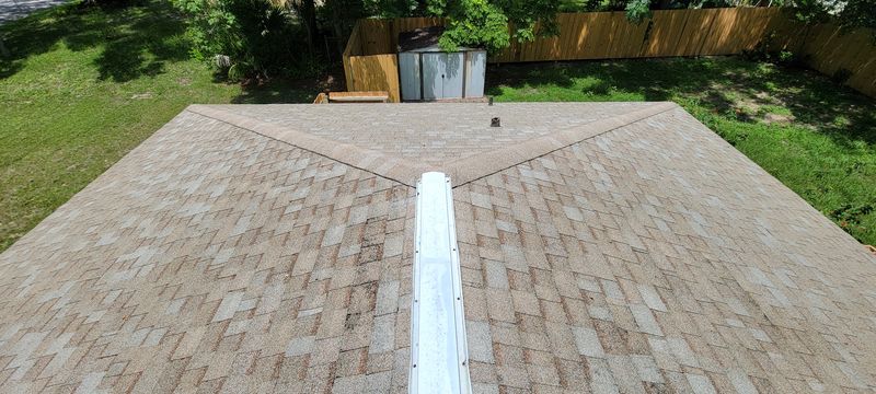Shingle Roof Cleaning