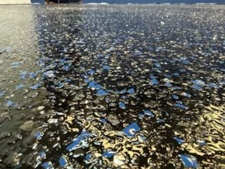 Epoxy Services