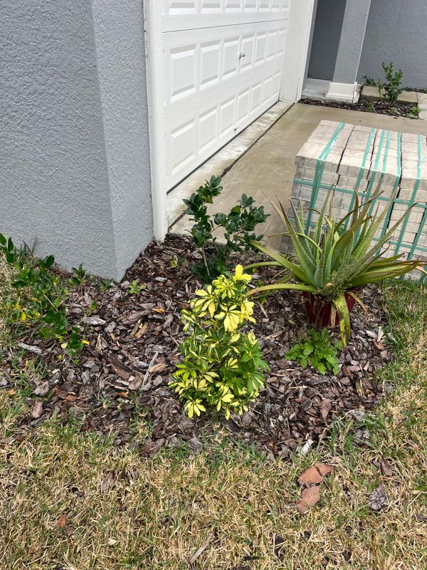 Landscaping