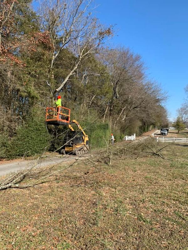 Land Clearing
