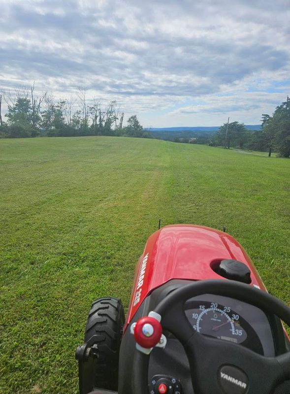 Lawn Maintenance