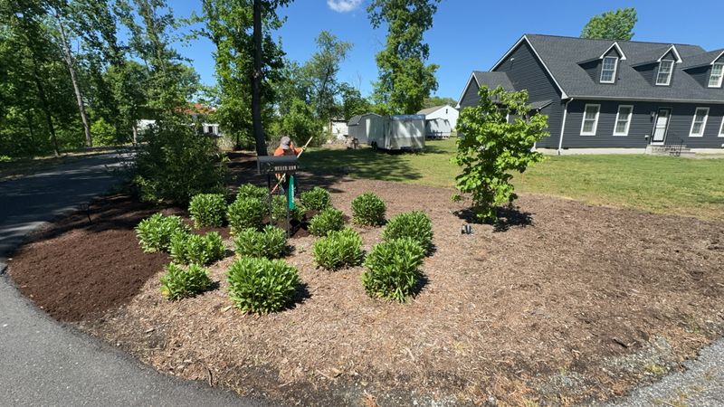 Fertilization and Weed Control