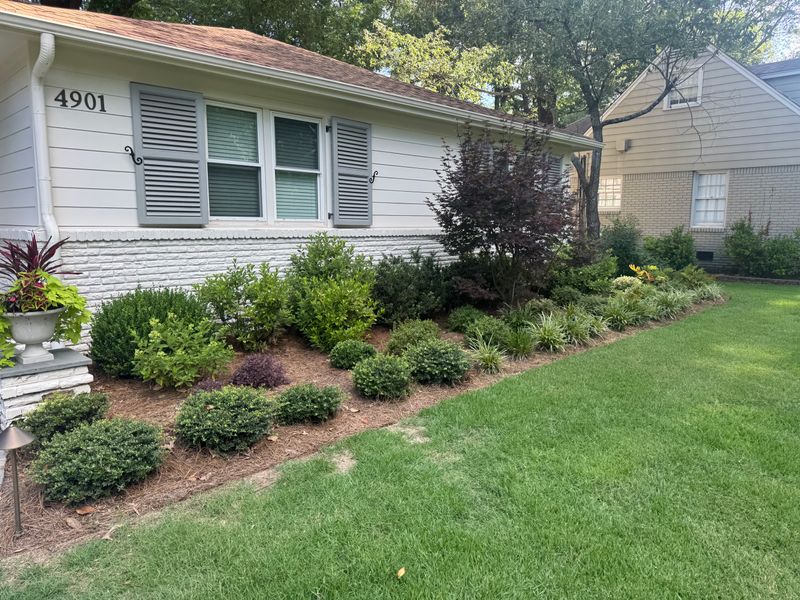 Garden Maintenance