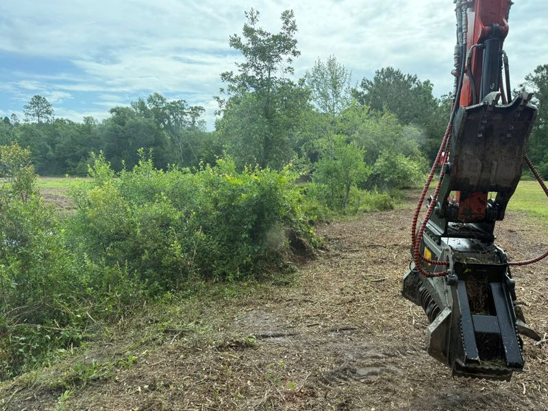 Land Clearing