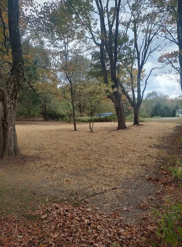 Land Clearing and Site Preparation