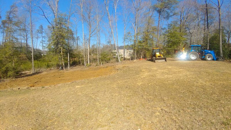 Tree Removal
