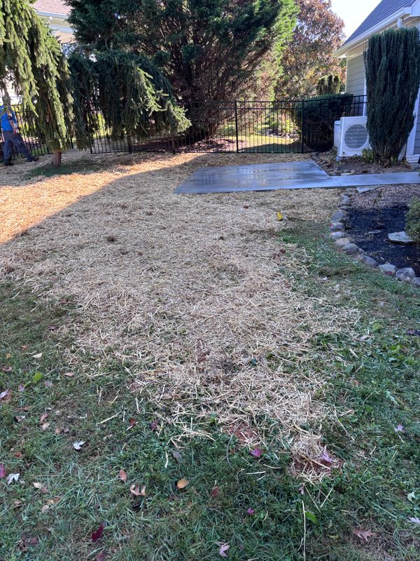 Fall Clean Up