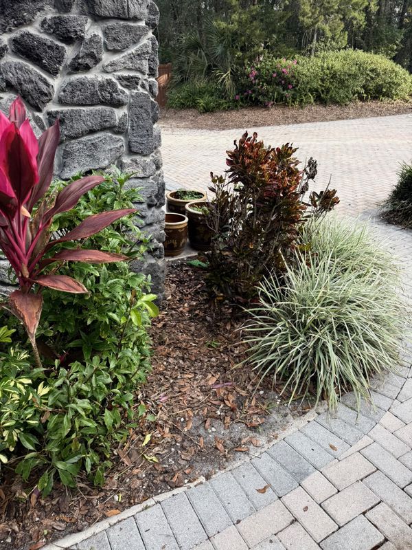 Mulch Installation