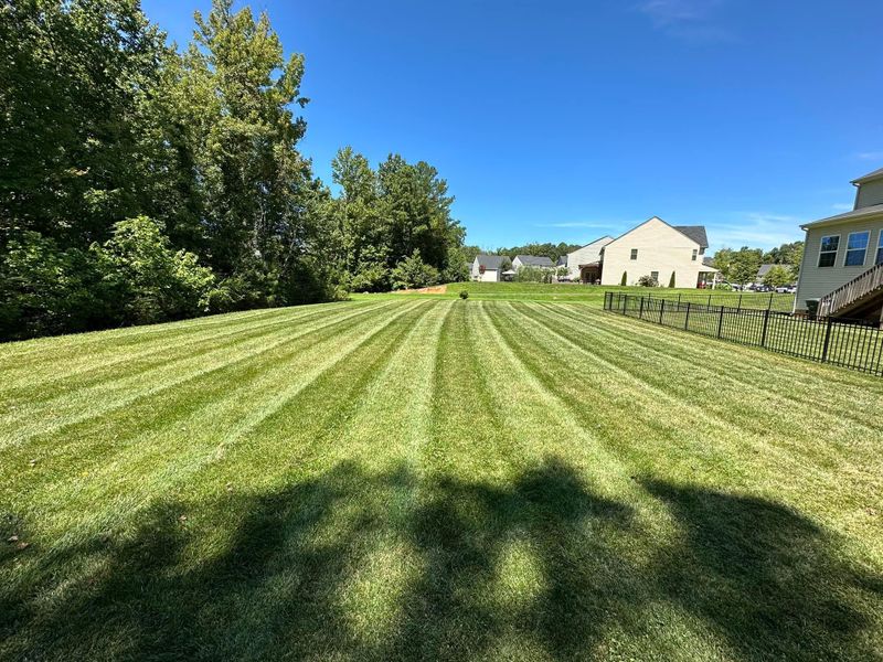 Mowing
