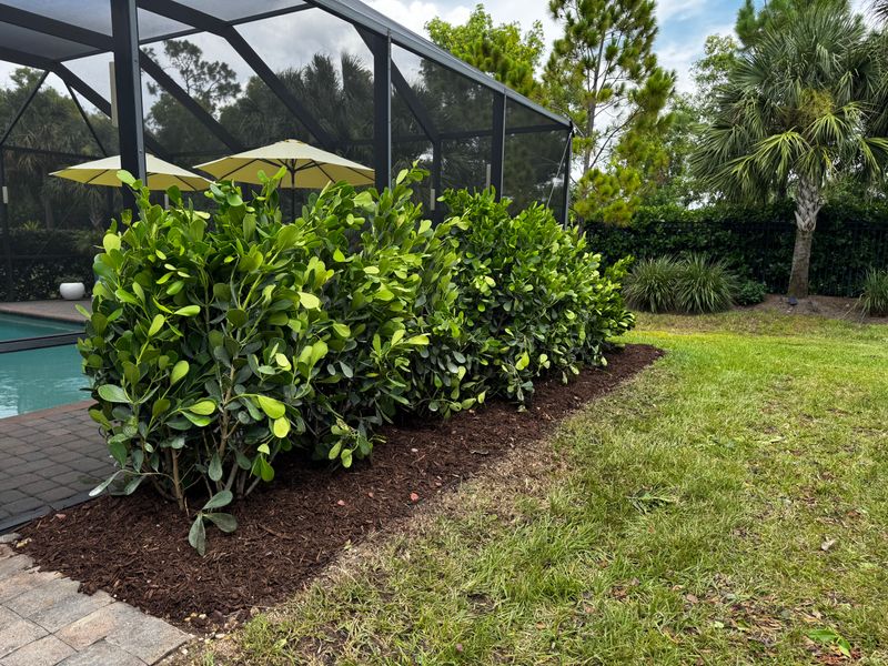 Mulch and rocks installation
