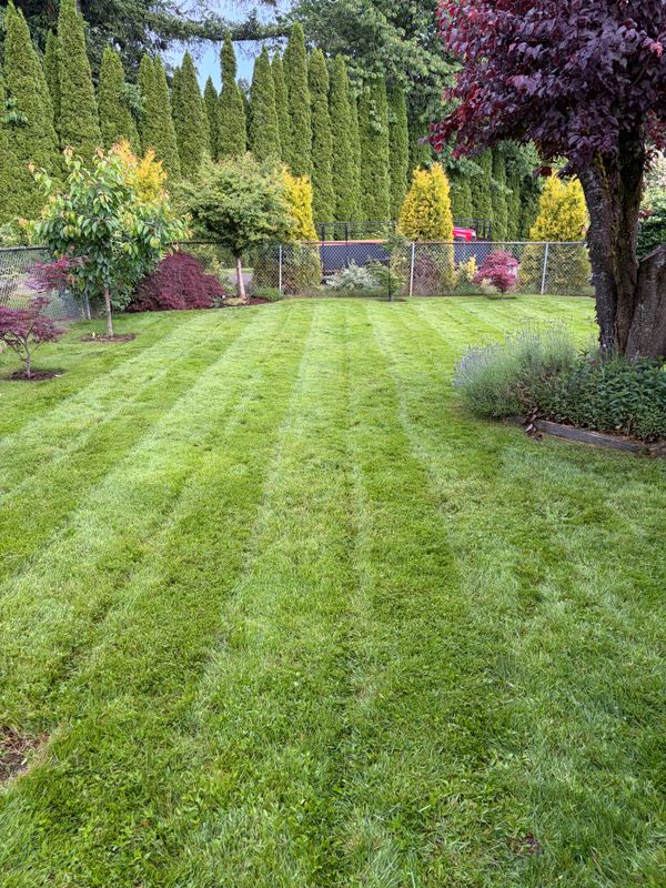 Green Spaces