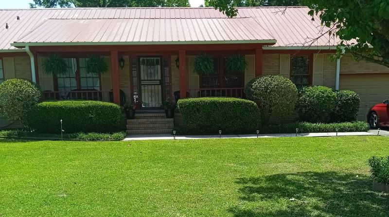 Tree & Shrub Care