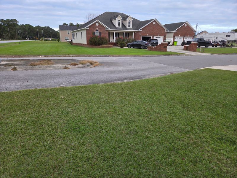 Weekly and Bi weekly Mowing