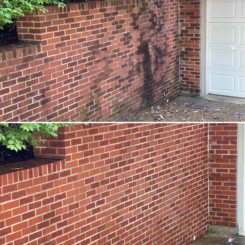 Transforming University City: See2it Clean's Comprehensive Window Cleaning and Exterior House Washing Mastery