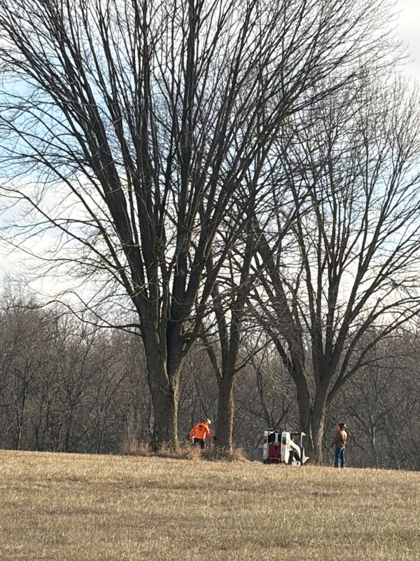 Fall Clean Up