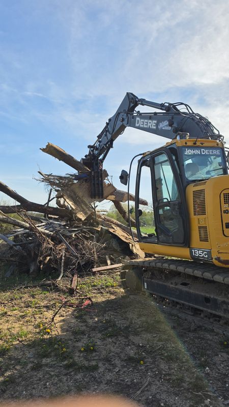 Tree Removal