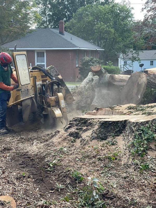 Stump Removal