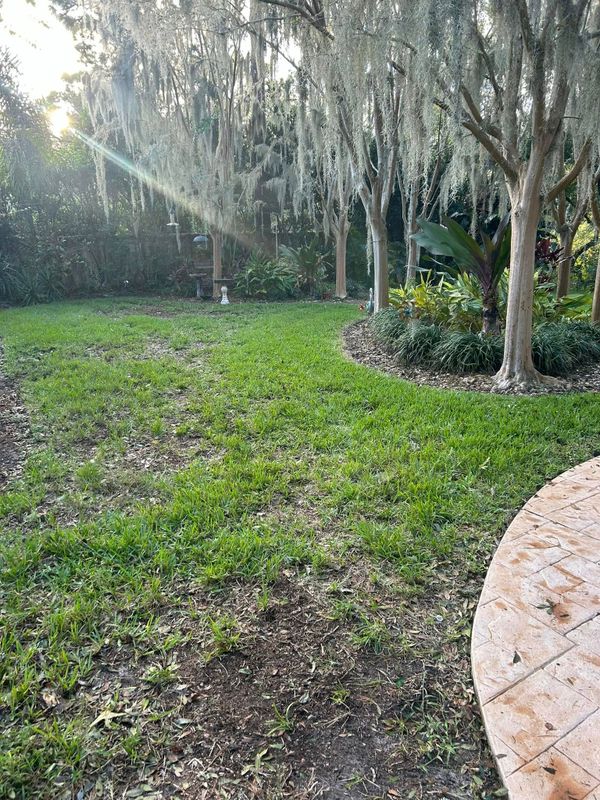 Lawn Care and Maintenance