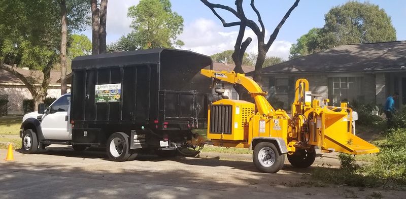 Tree Removal