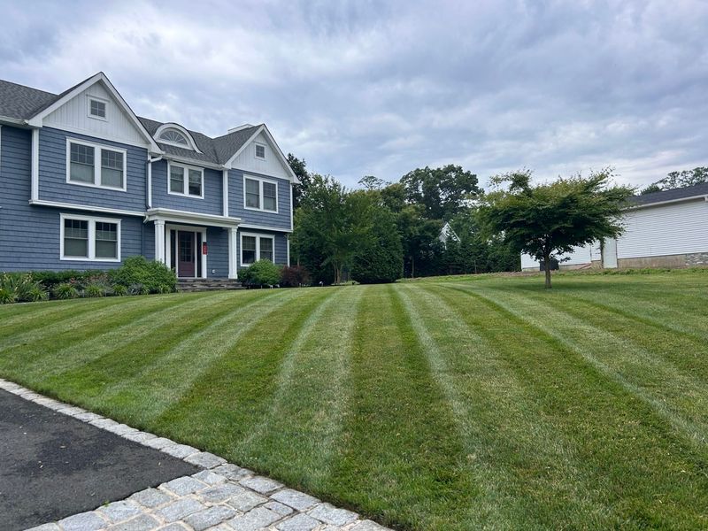 Lawn Maintenance