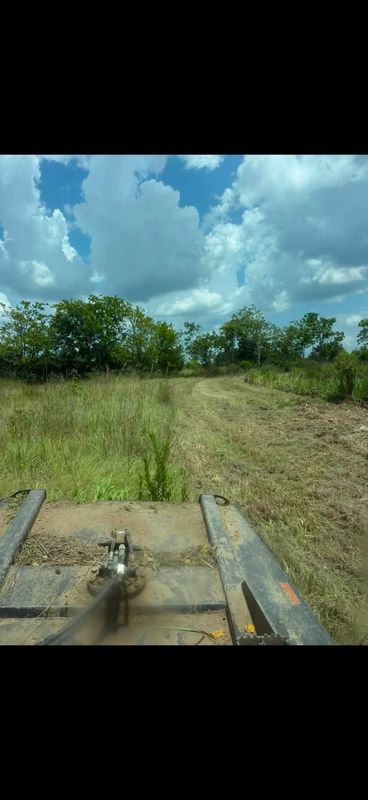 Brush Cutting