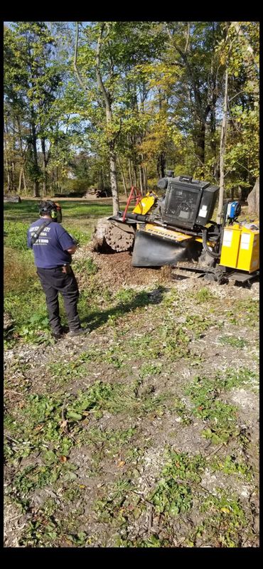 Stump Grinding