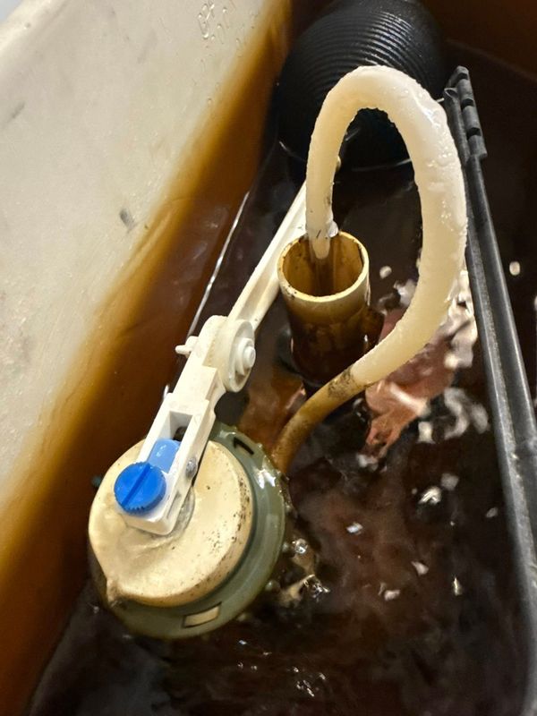 Sewer Line Replacement