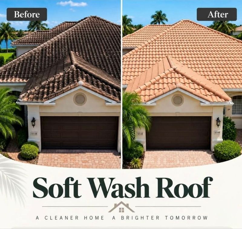 Soft Washing Services