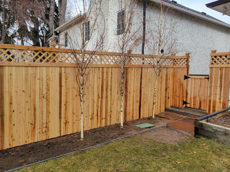 Fencing