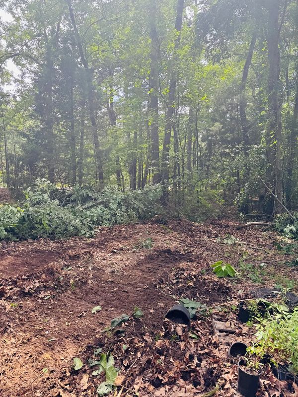 Land Clearing