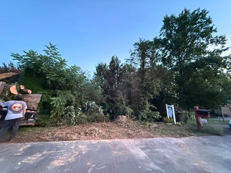 Land Clearing